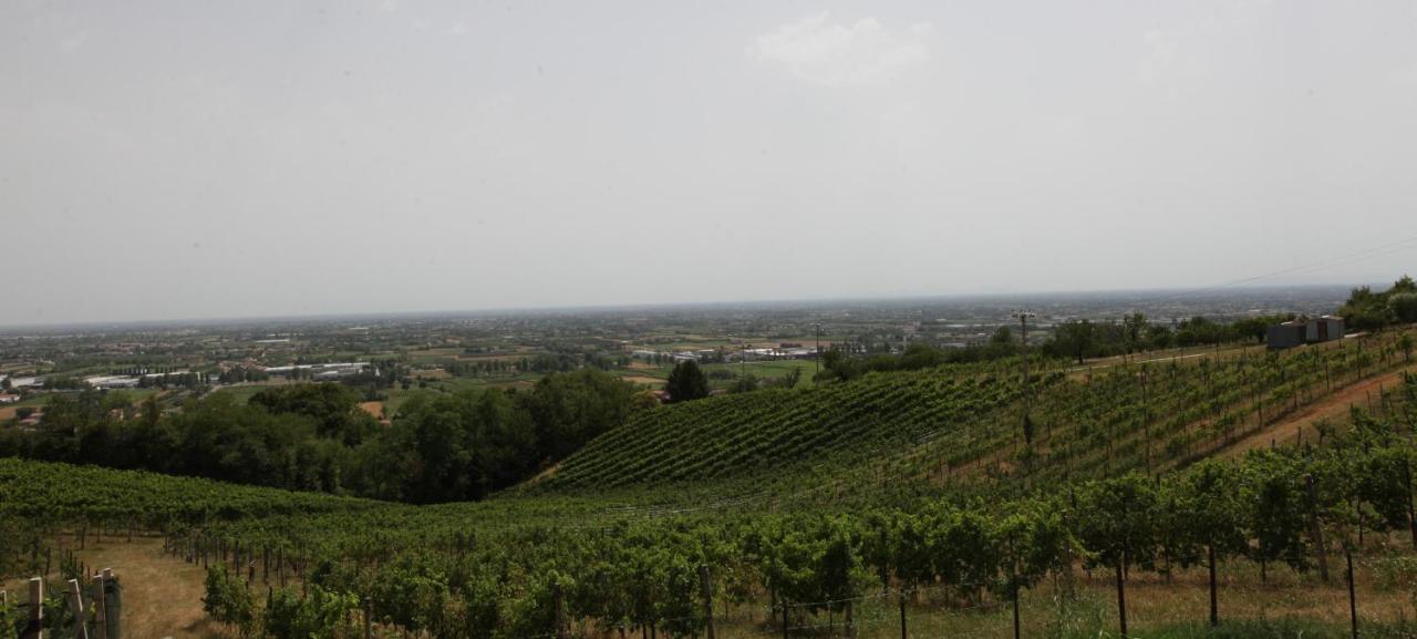 Terrazza San Vettore Camere Con Colazione, Relax In Collina Con Vista Sui Vigneti Docg Asolo Maser Exteriér fotografie