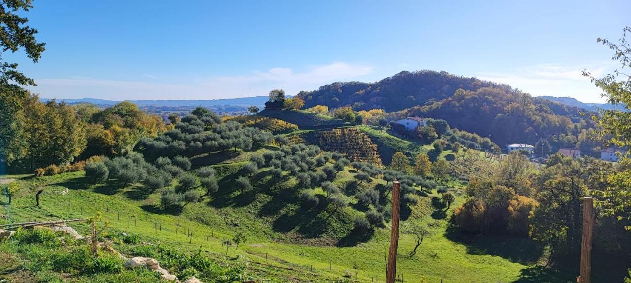 Terrazza San Vettore Camere Con Colazione, Relax In Collina Con Vista Sui Vigneti Docg Asolo Maser Exteriér fotografie